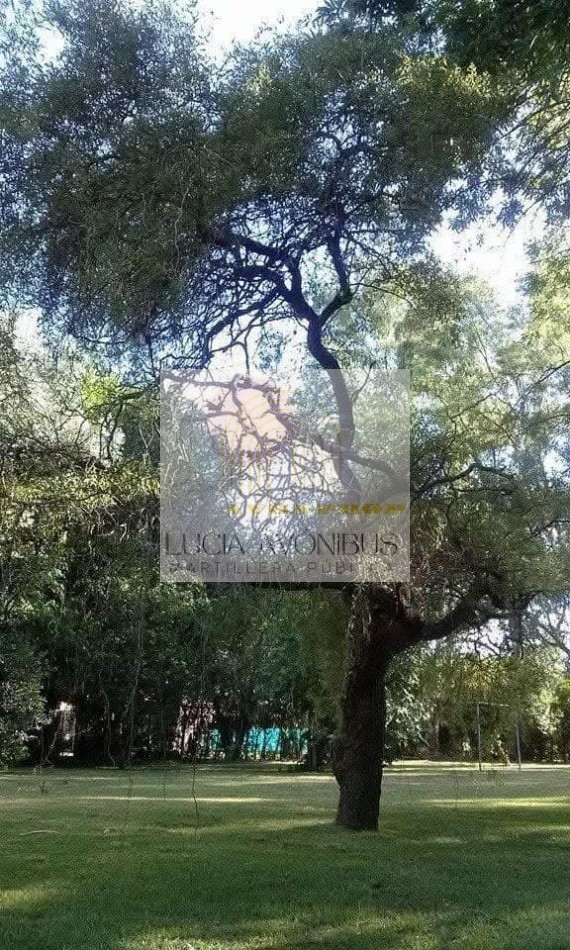 CASA QUINTA PARQUE LA VERDAD