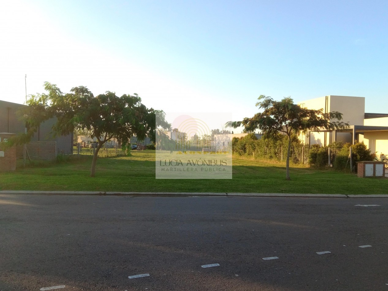 LOTE SANTA EMILIA