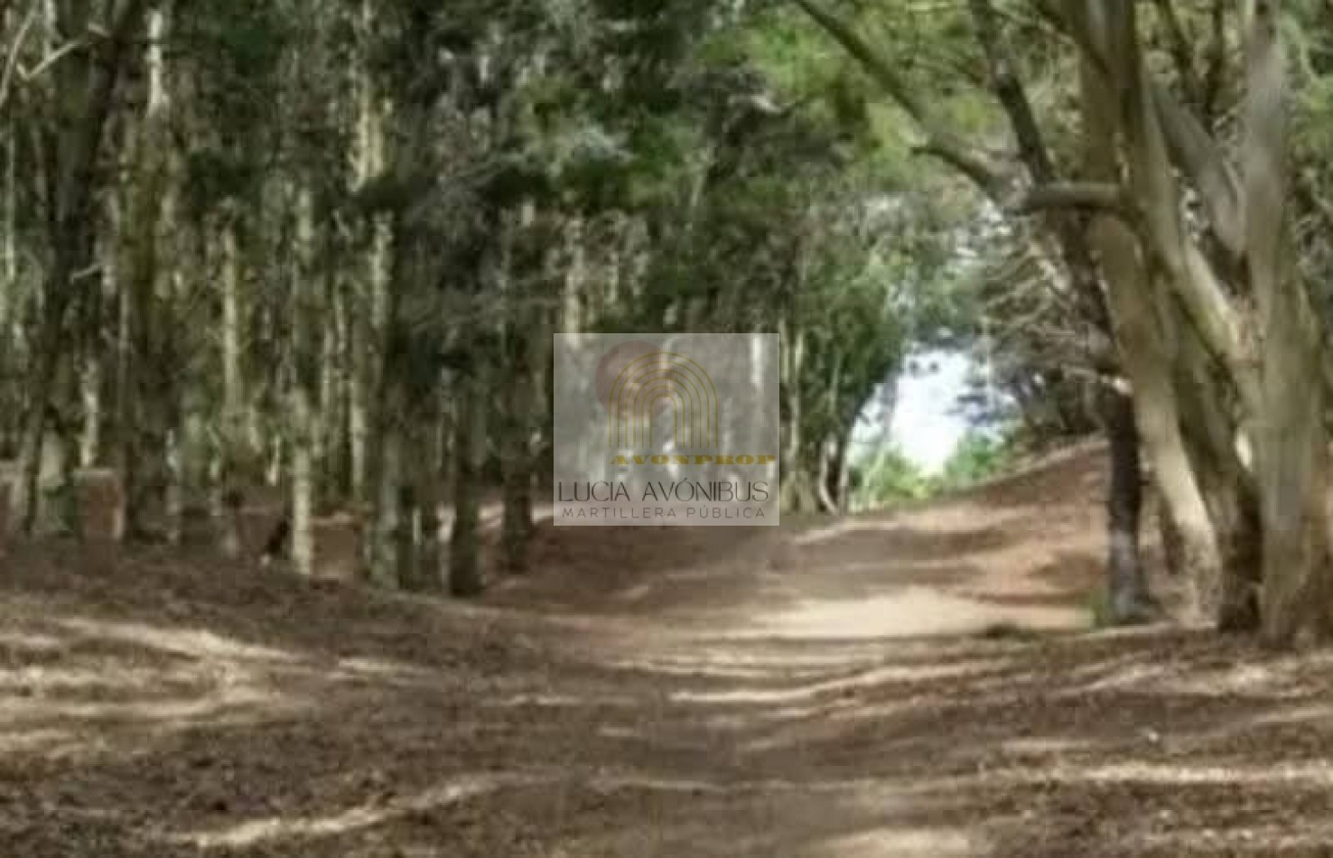 LOTE TERRENO MAR DE AJO