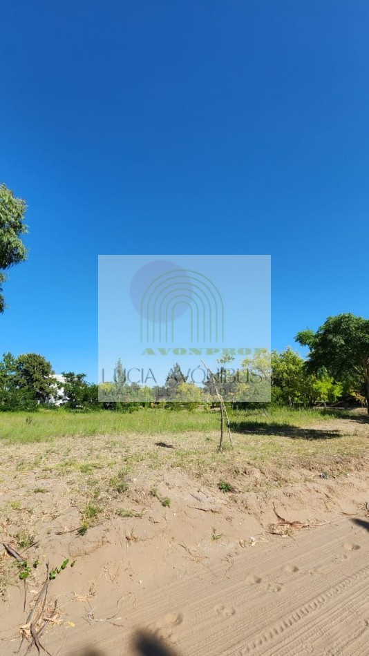 LOTE TERRENO MAR DE AJO