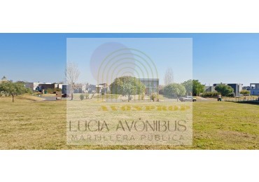 LOTE SAN SEBASTIAN