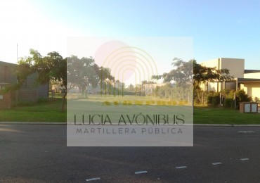 LOTE SANTA EMILIA