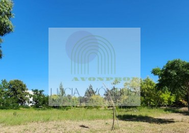 LOTE TERRENO MAR DE AJO